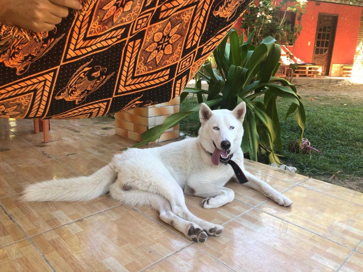 Guest House Lua Paracuru Luaran gambar